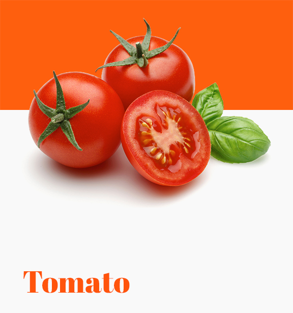 Tomato