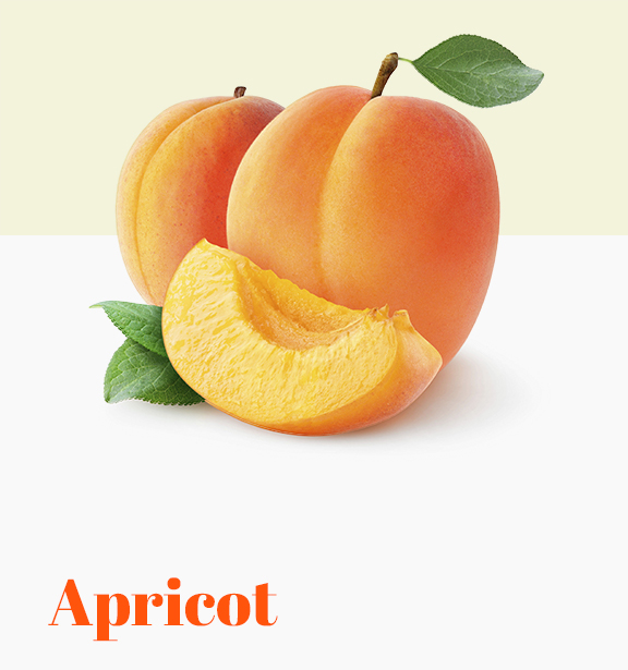 Apricot