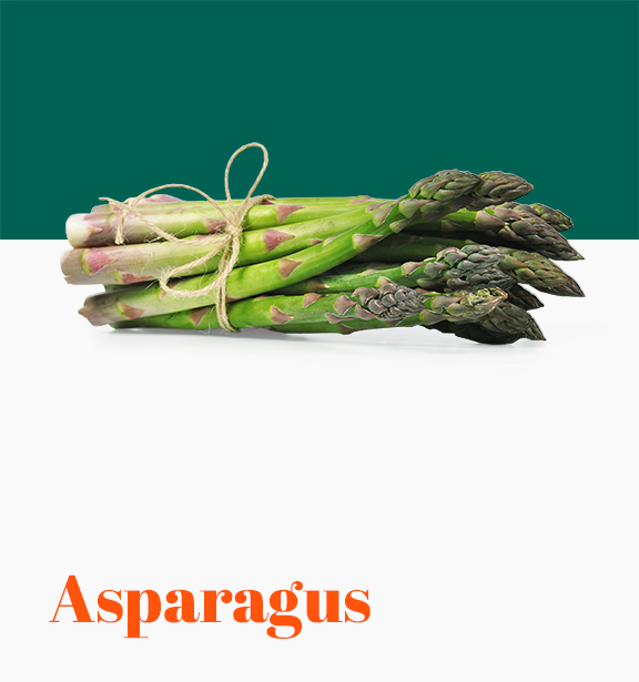 Asparagus