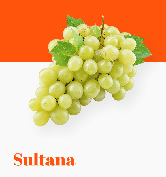 Sultana